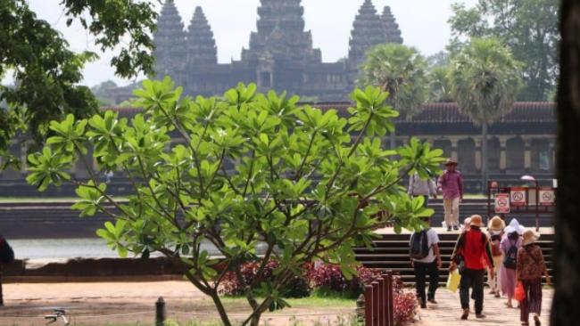 今年前4个月逾18万中国大陆游客入境柬埔寨