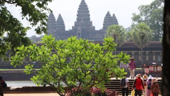 柬埔寨今年前五月接待外国游客210万人次